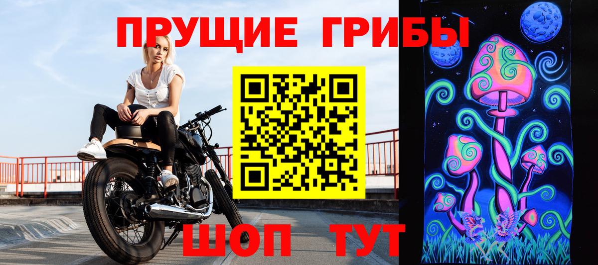 Димитровград  Галлюциногенные грибы ЛСД  Псилоцибиновые грибы ЛСД  Вход с VPN 
