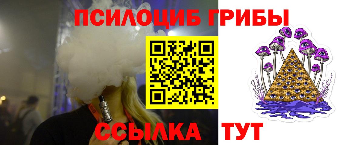 Псилоцибиновые грибы Psilocybine cubensis Димитровград